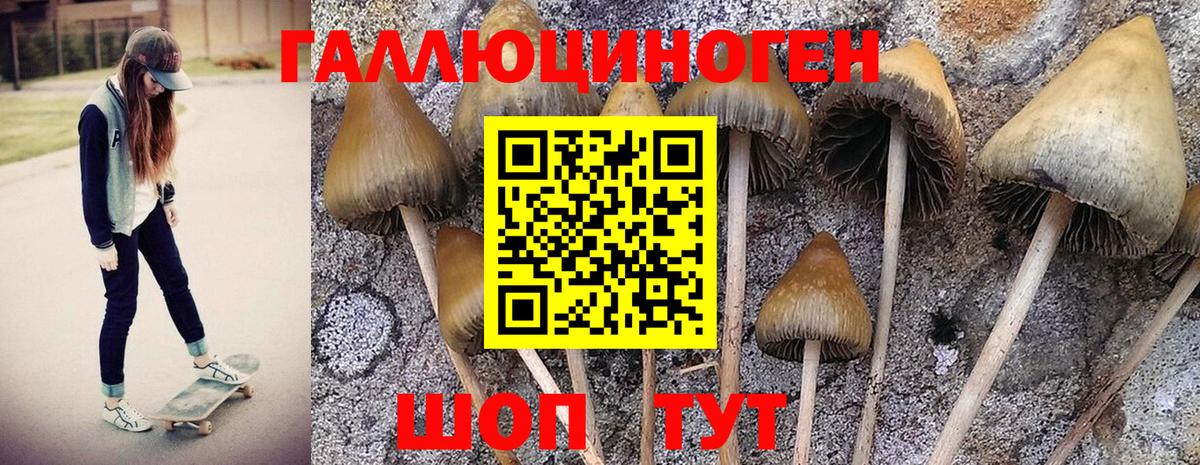Псилоцибиновые грибы мухоморы Находка