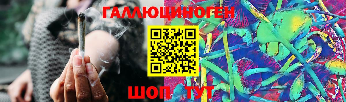 Находка  Псилоцибиновые грибы Psilocybe  Вход с VPN 